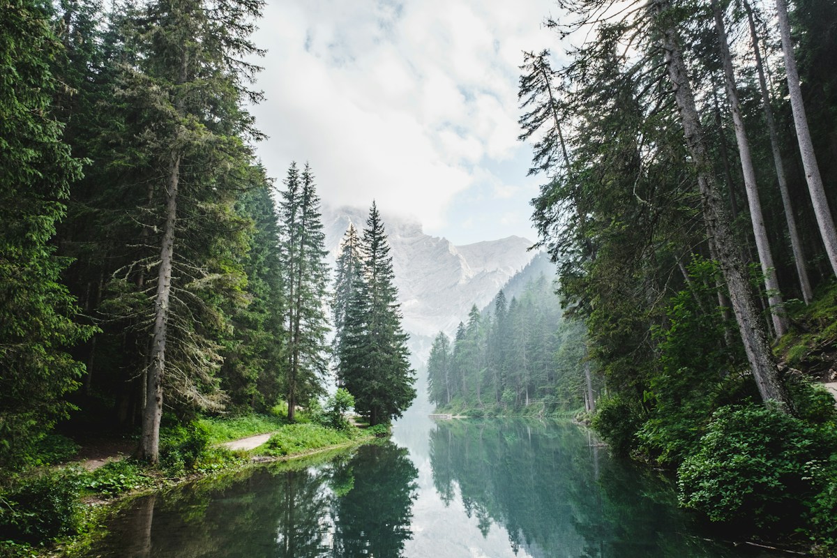 A still lake framed by green woodland